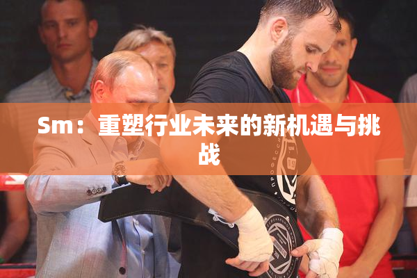 Sm：重塑行业未来的新机遇与挑战