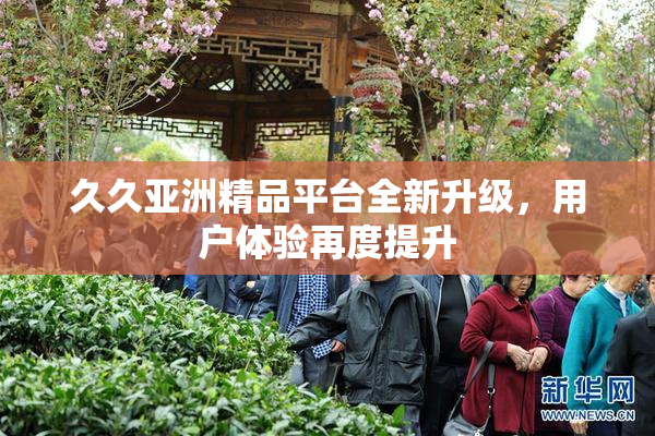 久久亚洲精品平台全新升级，用户体验再度提升