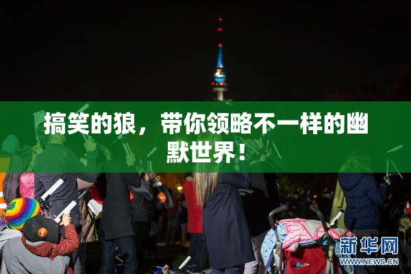 搞笑的狼，带你领略不一样的幽默世界！