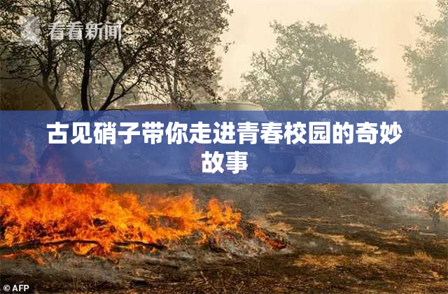 古见硝子带你走进青春校园的奇妙故事