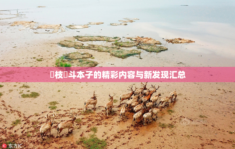 狛枝凪斗本子的精彩内容与新发现汇总