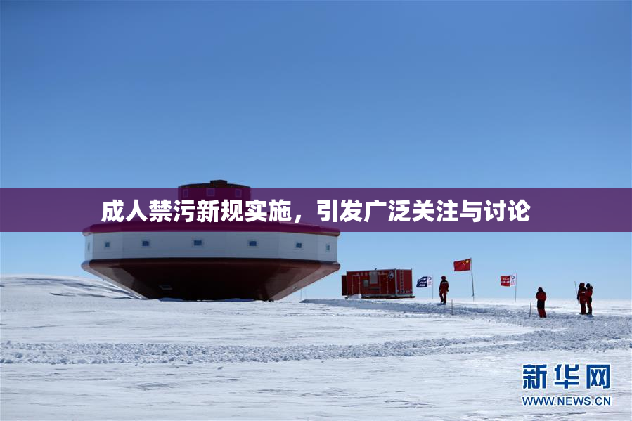 成人禁污新规实施，引发广泛关注与讨论