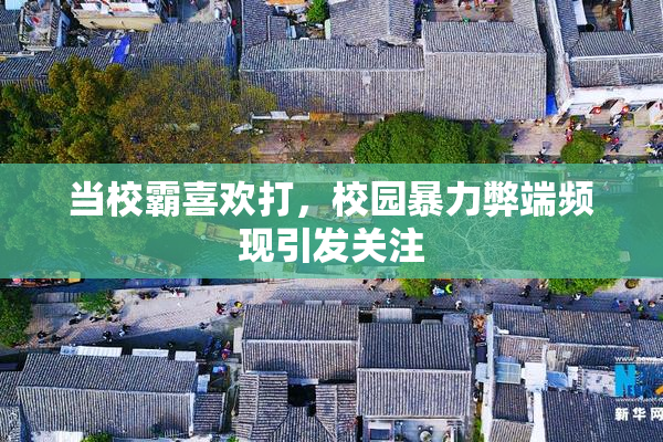当校霸喜欢打，校园暴力弊端频现引发关注