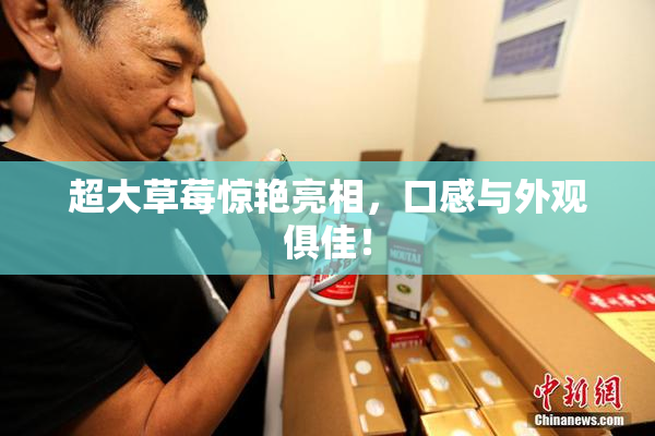 超大草莓惊艳亮相，口感与外观俱佳！