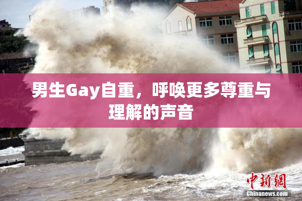 男生Gay自重，呼唤更多尊重与理解的声音
