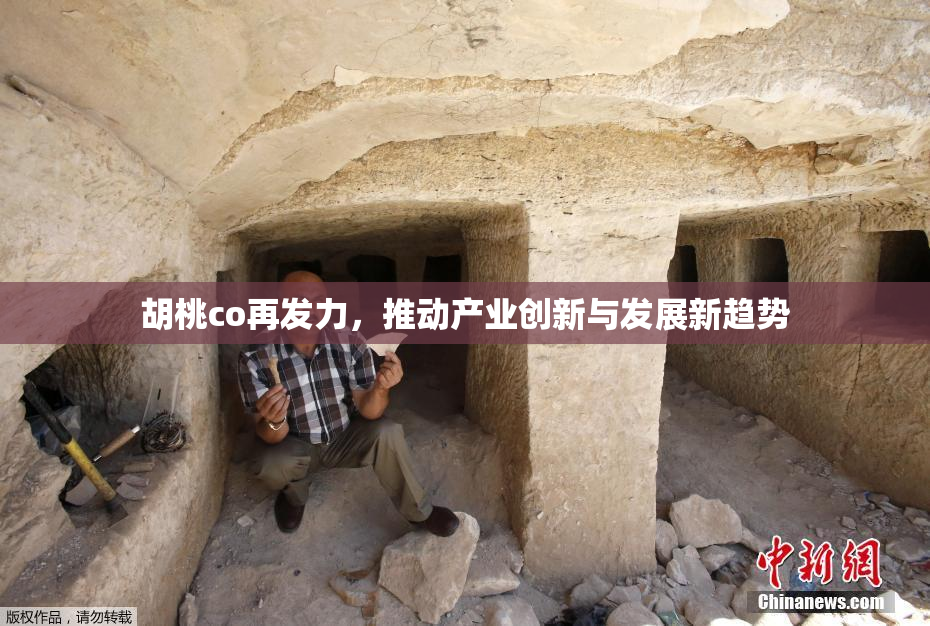 胡桃co再发力，推动产业创新与发展新趋势