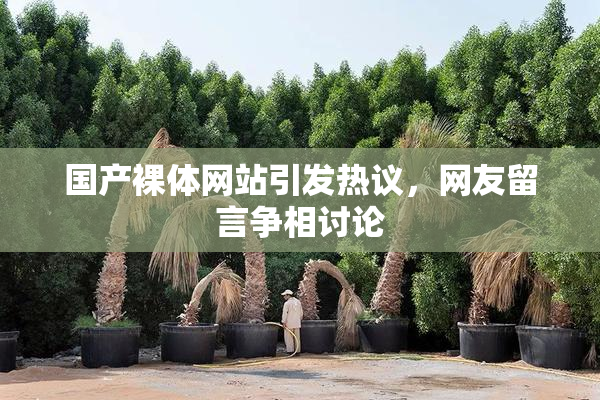 国产裸体网站引发热议，网友留言争相讨论