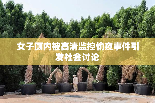 女子厕内被高清监控偷窥事件引发社会讨论