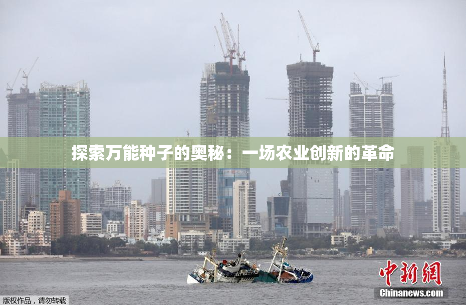 探索万能种子的奥秘：一场农业创新的革命
