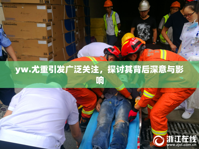 yw.尤重引发广泛关注，探讨其背后深意与影响