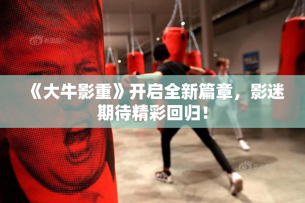 《大牛影重》开启全新篇章，影迷期待精彩回归！