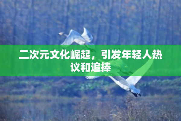 二次元文化崛起，引发年轻人热议和追捧