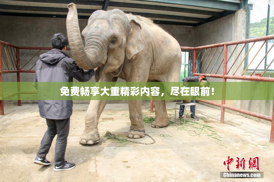 免费畅享大重精彩内容，尽在眼前！