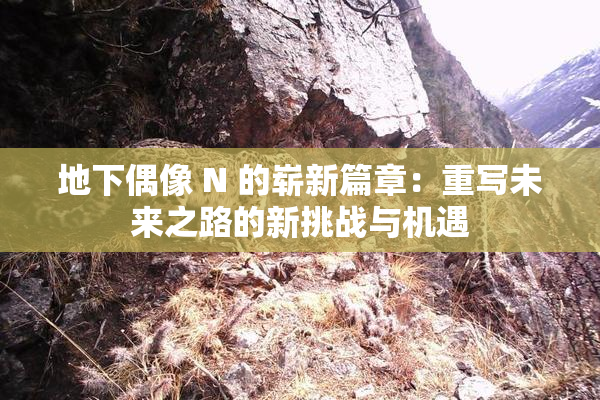 地下偶像 N 的崭新篇章：重写未来之路的新挑战与机遇