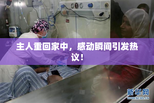 主人重回家中，感动瞬间引发热议！