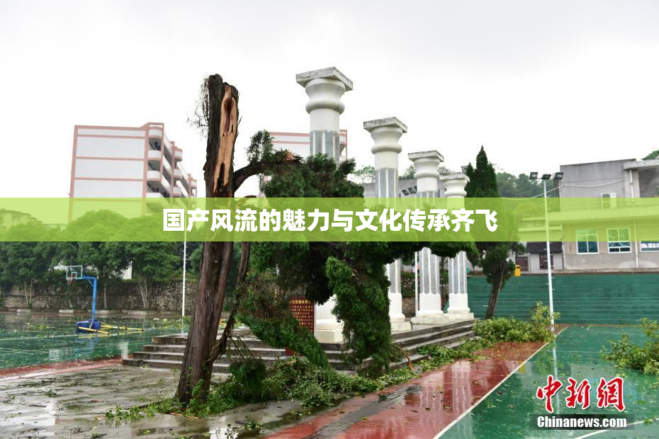 国产风流的魅力与文化传承齐飞