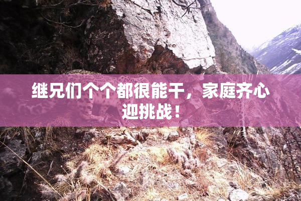 继兄们个个都很能干，家庭齐心迎挑战！