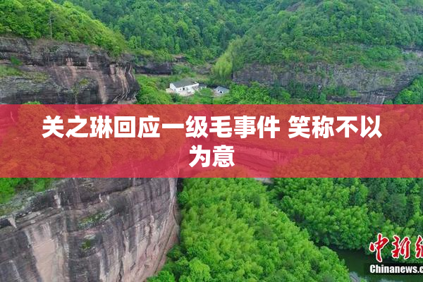 关之琳回应一级毛事件 笑称不以为意