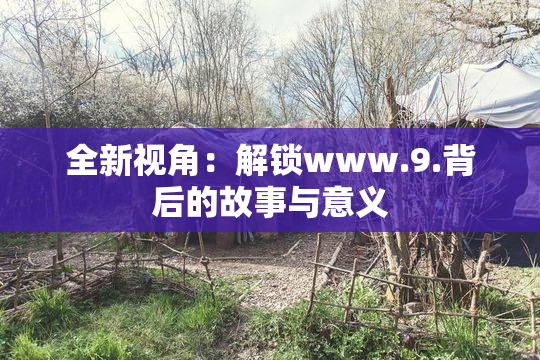 全新视角：解锁www.9.背后的故事与意义