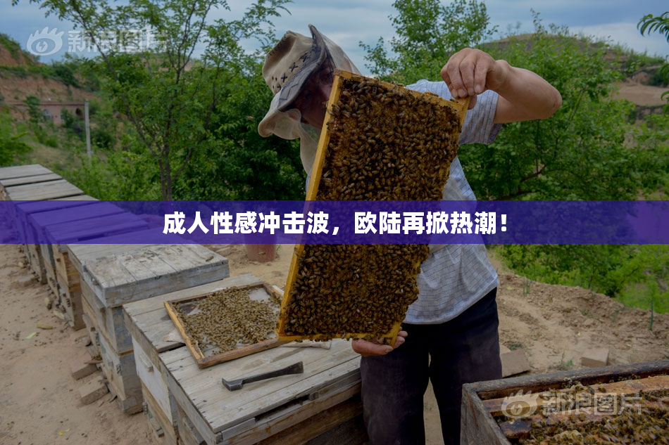 成人性感冲击波，欧陆再掀热潮！