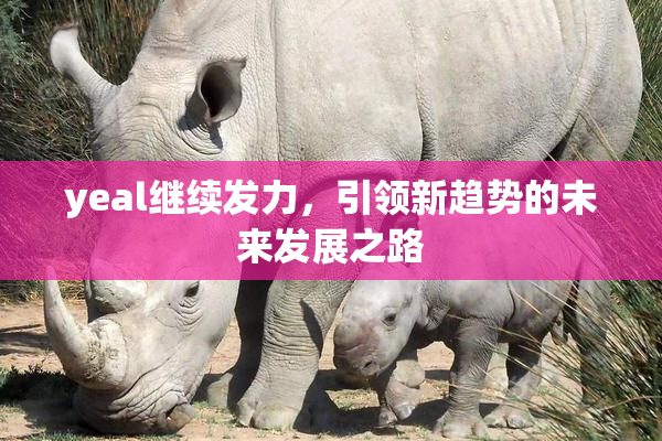 yeal继续发力，引领新趋势的未来发展之路