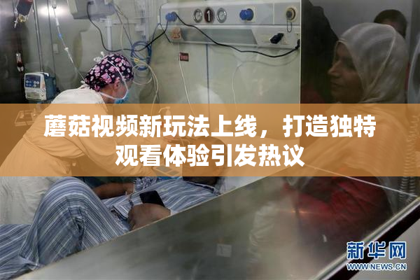 蘑菇视频新玩法上线，打造独特观看体验引发热议