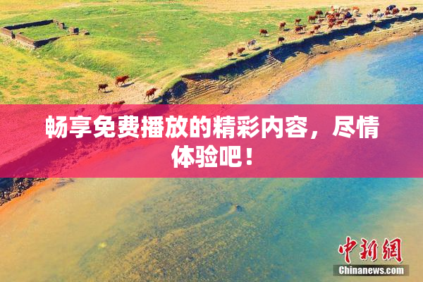 畅享免费播放的精彩内容，尽情体验吧！