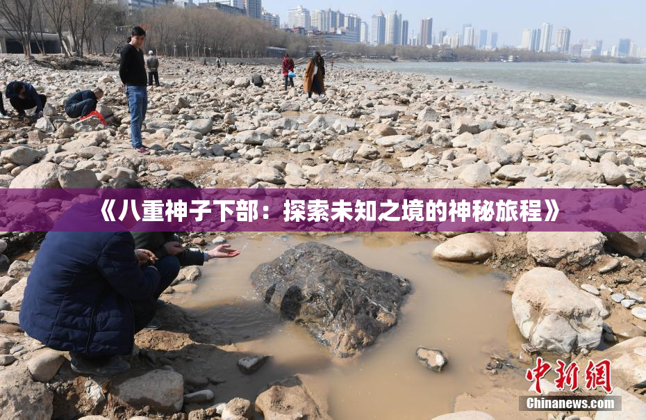 《八重神子下部：探索未知之境的神秘旅程》