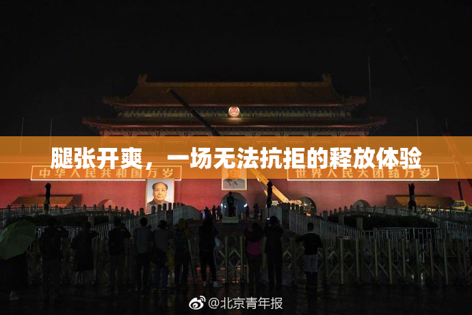 腿张开爽，一场无法抗拒的释放体验
