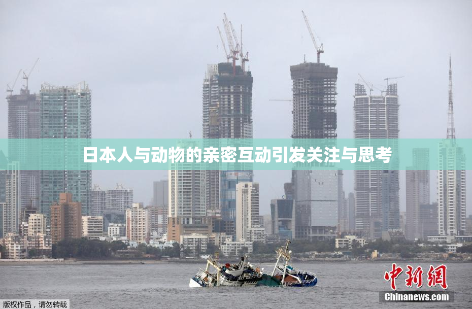 日本人与动物的亲密互动引发关注与思考