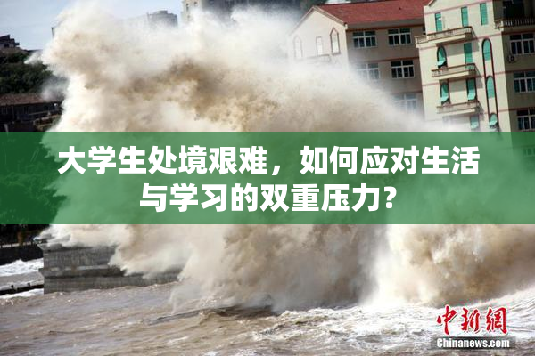 大学生处境艰难，如何应对生活与学习的双重压力？