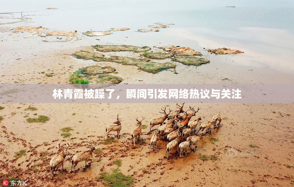 林青霞被躁了，瞬间引发网络热议与关注