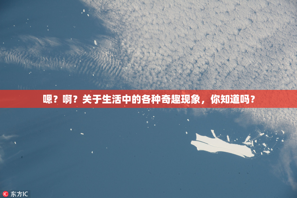 嗯？啊？关于生活中的各种奇趣现象，你知道吗？