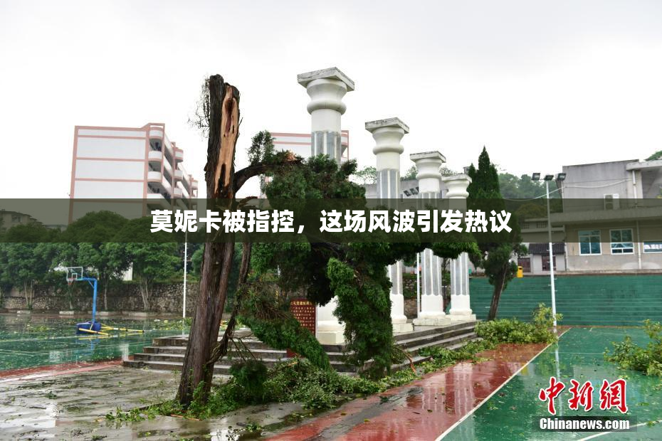 莫妮卡被指控，这场风波引发热议