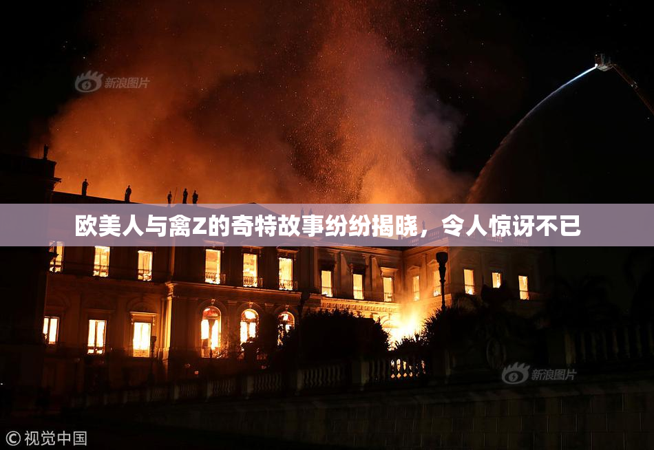 欧美人与禽Z的奇特故事纷纷揭晓，令人惊讶不已