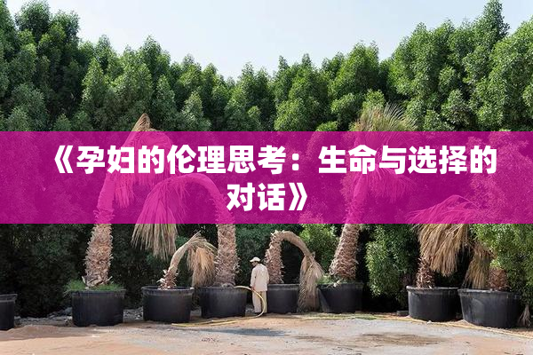 《孕妇的伦理思考：生命与选择的对话》