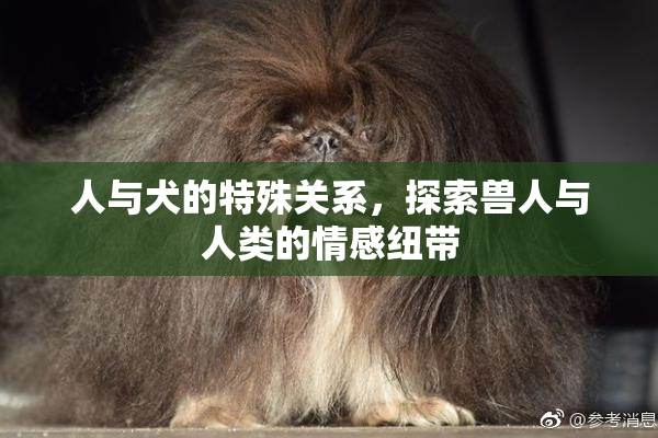 人与犬的特殊关系，探索兽人与人类的情感纽带