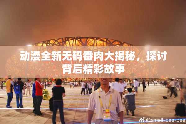 动漫全新无码番肉大揭秘，探讨背后精彩故事