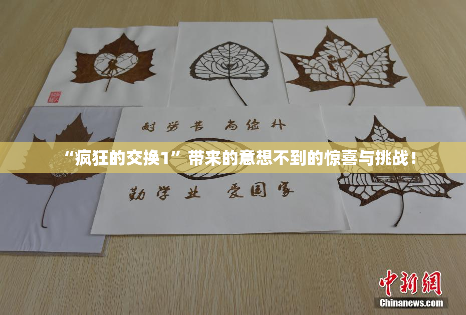 “疯狂的交换1”带来的意想不到的惊喜与挑战！