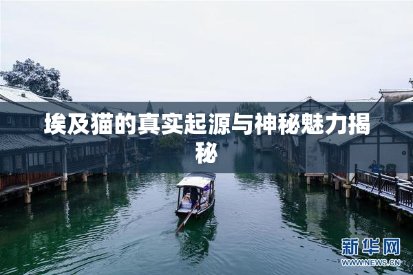 埃及猫的真实起源与神秘魅力揭秘
