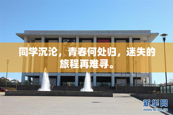 同学沉沦，青春何处归，迷失的旅程再难寻。