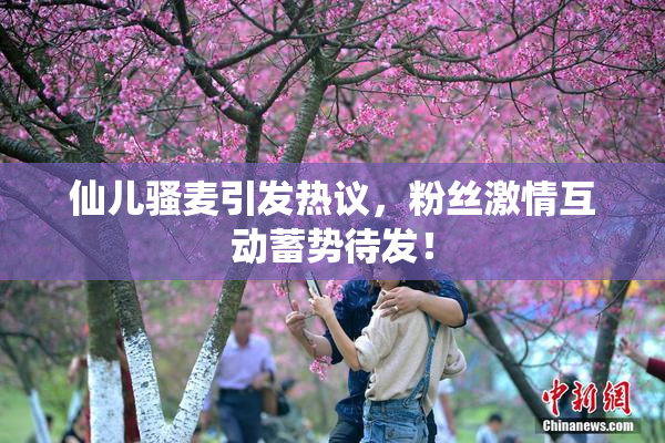 仙儿骚麦引发热议，粉丝激情互动蓄势待发！
