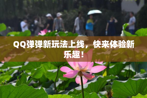 QQ弹弹新玩法上线，快来体验新乐趣！