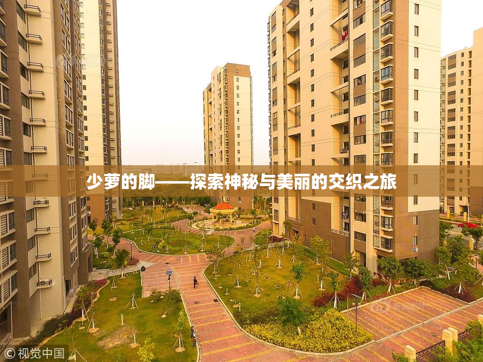 少萝的脚——探索神秘与美丽的交织之旅
