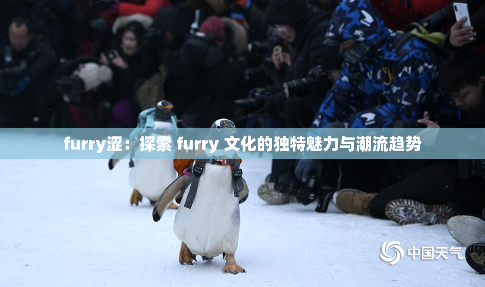 furry涩：探索 furry 文化的独特魅力与潮流趋势