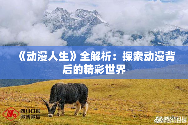 《动漫人生》全解析：探索动漫背后的精彩世界
