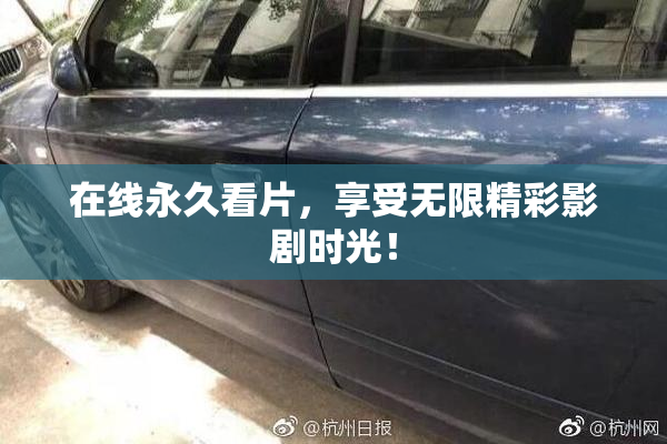 在线永久看片，享受无限精彩影剧时光！