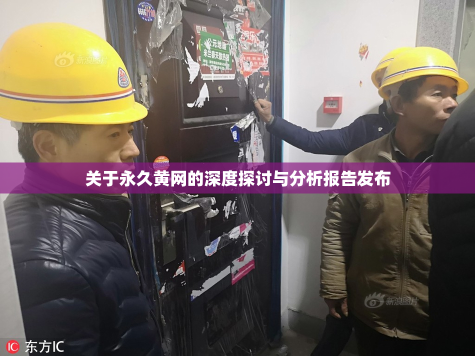 关于永久黄网的深度探讨与分析报告发布