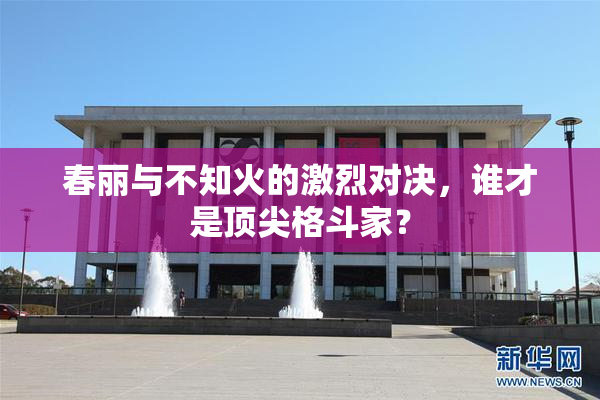 春丽与不知火的激烈对决，谁才是顶尖格斗家？