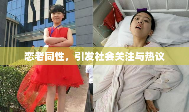 恋老同性，引发社会关注与热议